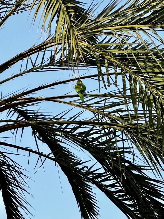 Marbella Beachfront Apartment 外观 照片